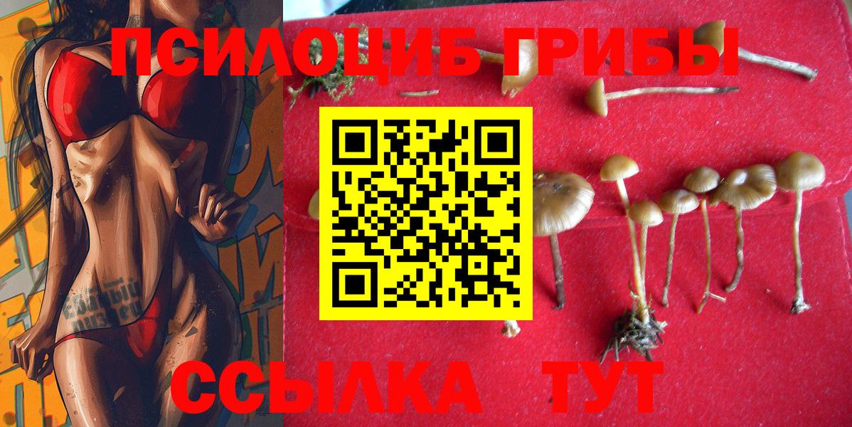 LSD-25 Курчалой